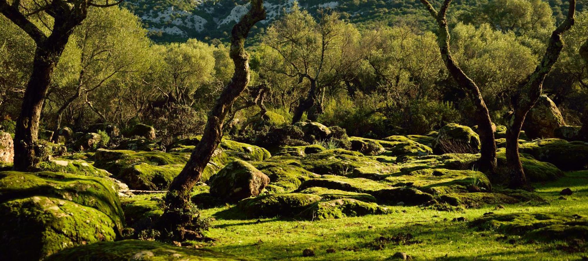 فندق Dommu Livia لوتْسوراي المظهر الخارجي الصورة