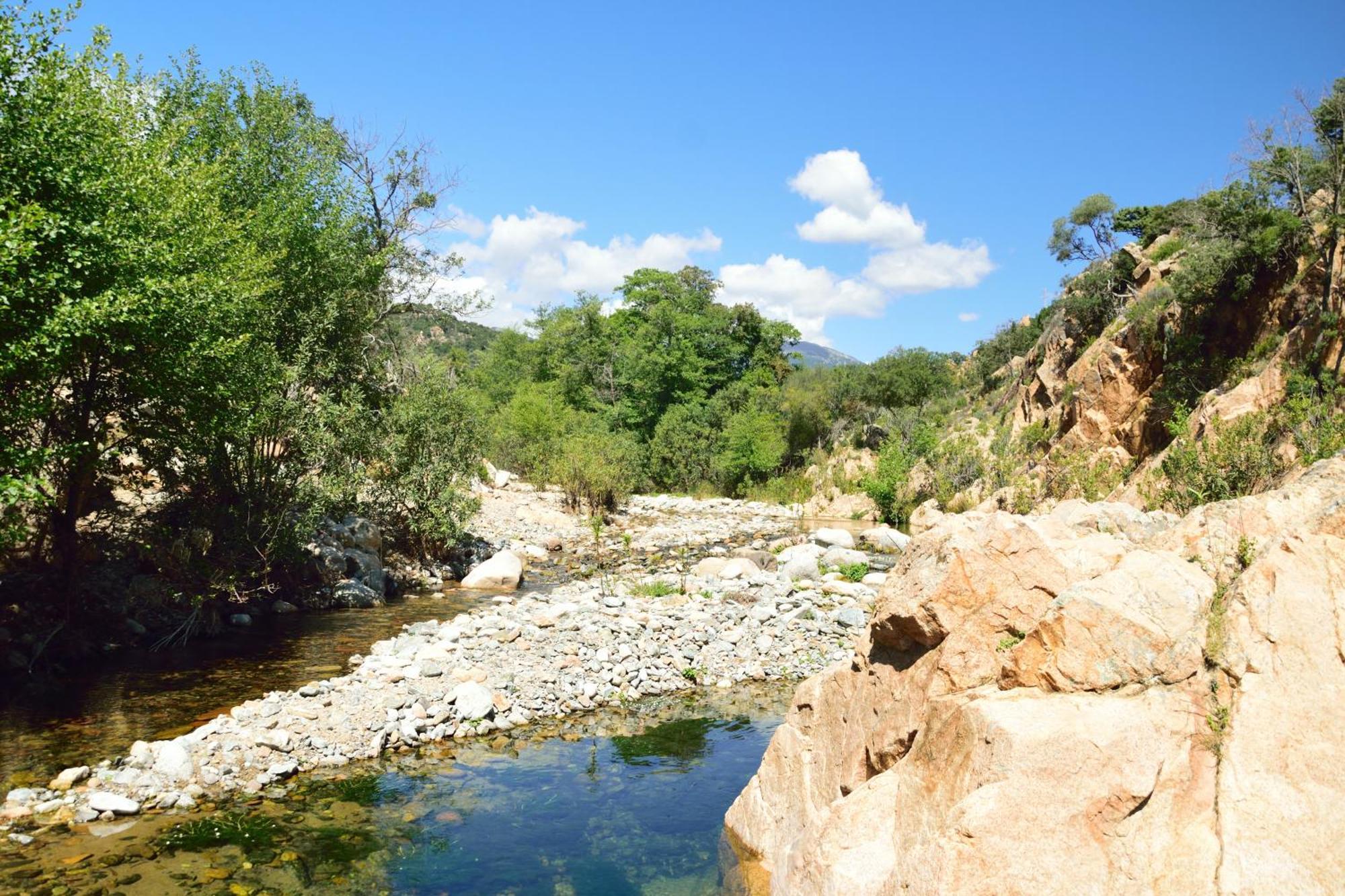 فندق Dommu Livia لوتْسوراي المظهر الخارجي الصورة